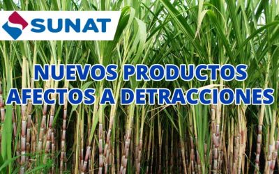 Desde hoy nuevos productos ingresan al sistema de detracciones