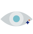 VISION